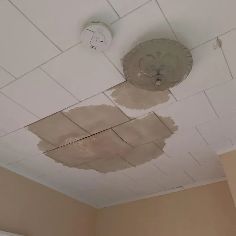Ceiling Water Damage Repair in Ashtabula County, OH