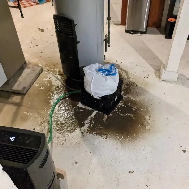Sewage Backup Cleanup Service in Ashtabula County, OH